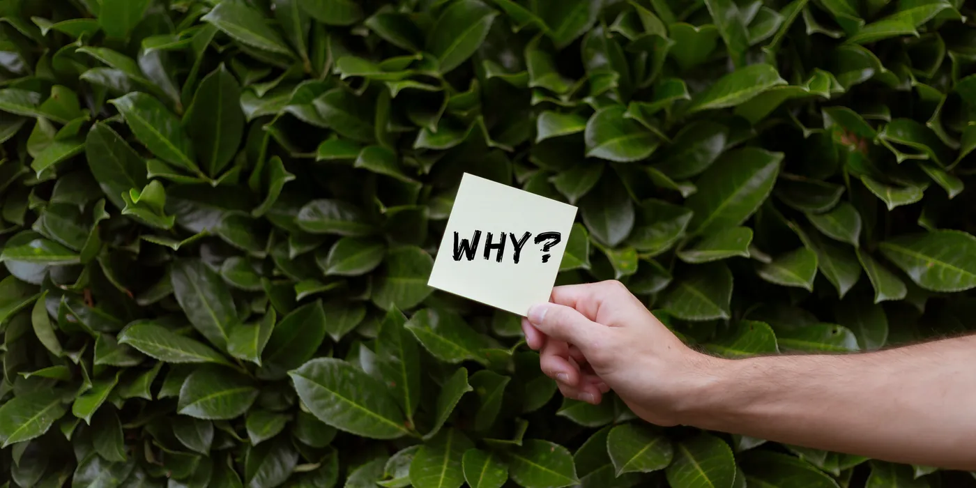 A hand holding a sticky note that asks WHY? against a green hedge